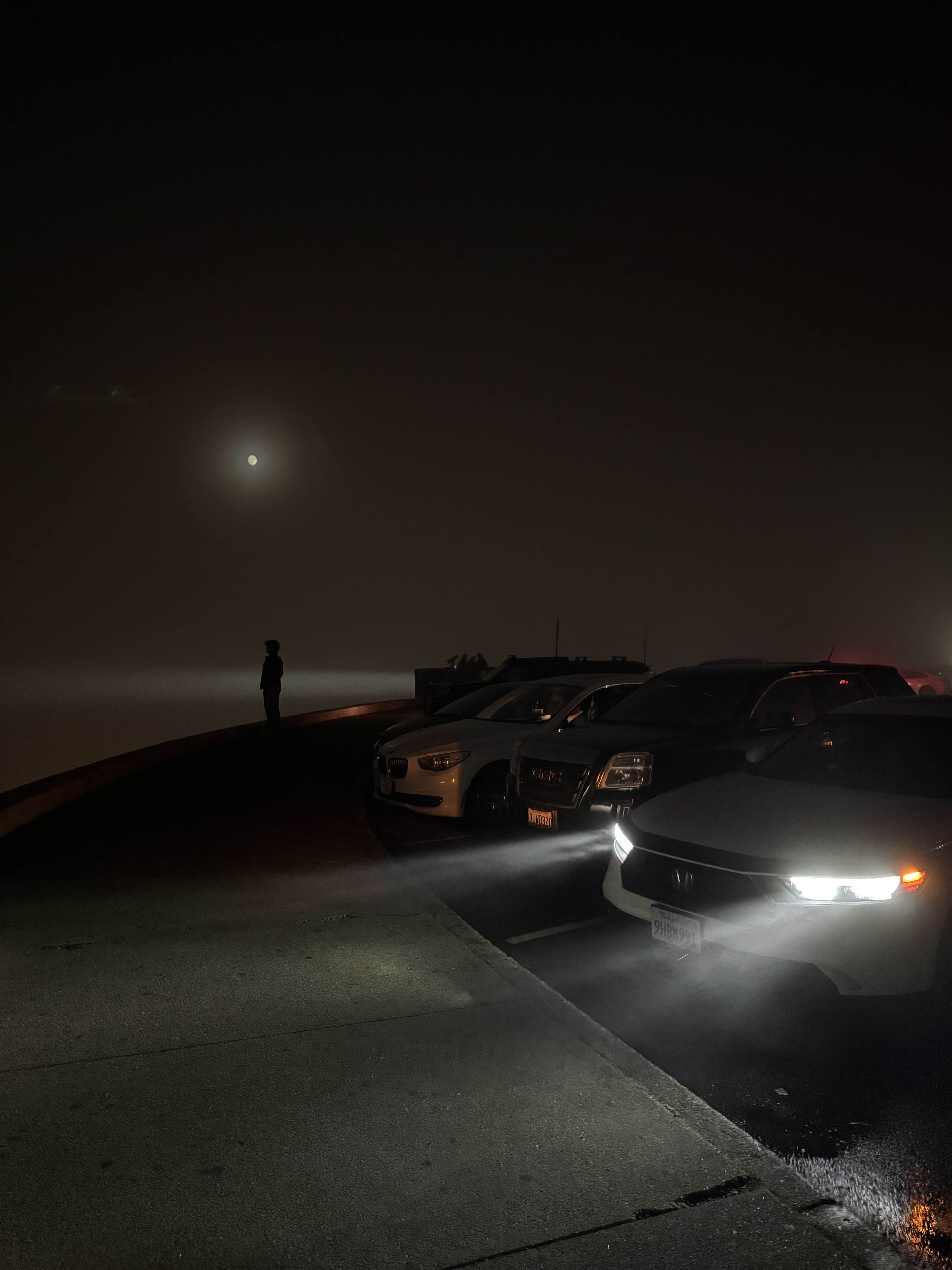 Pondering. Twin Peaks, SF, 2025