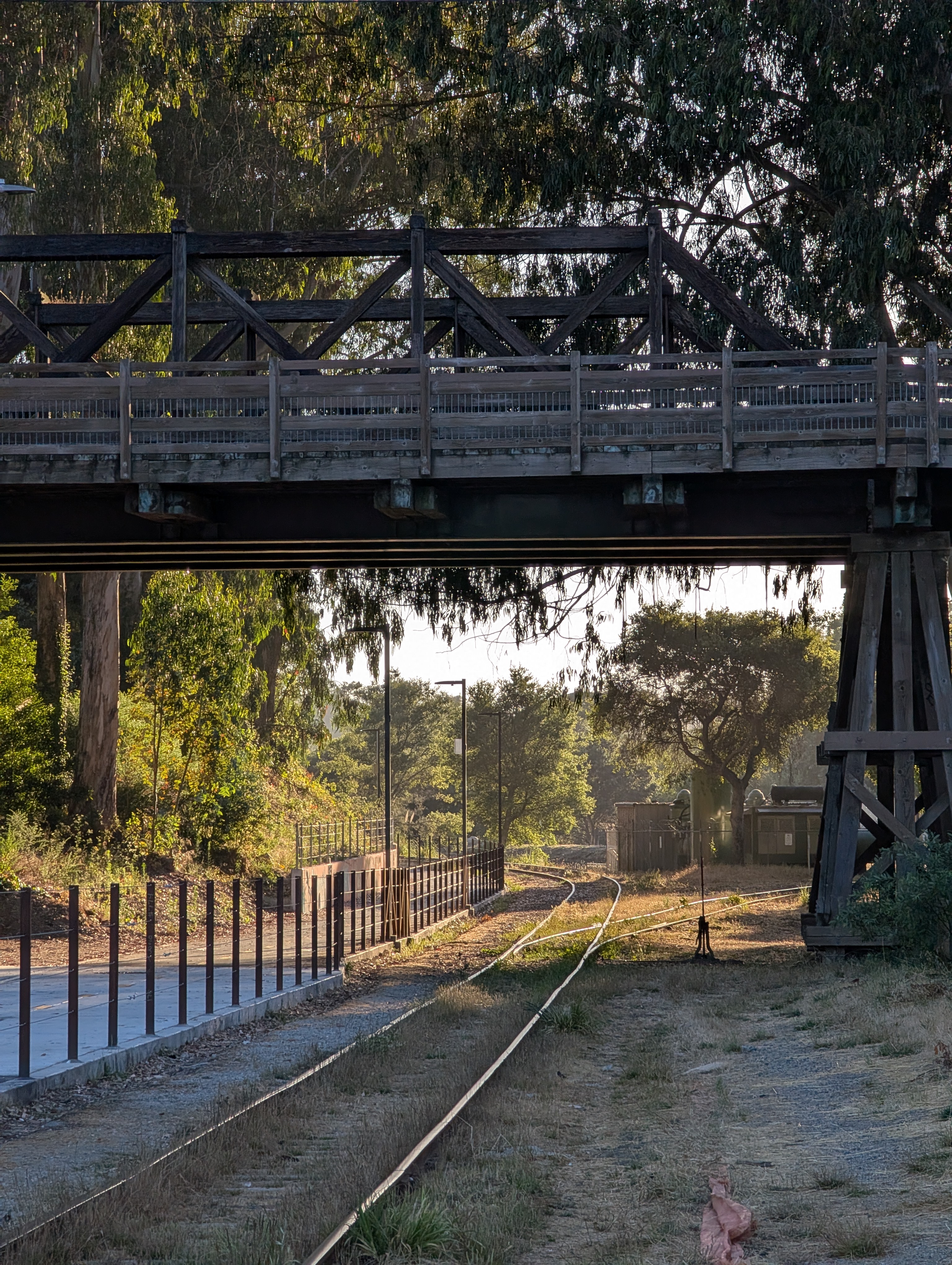 Tracks. Santa Cruz, 2025