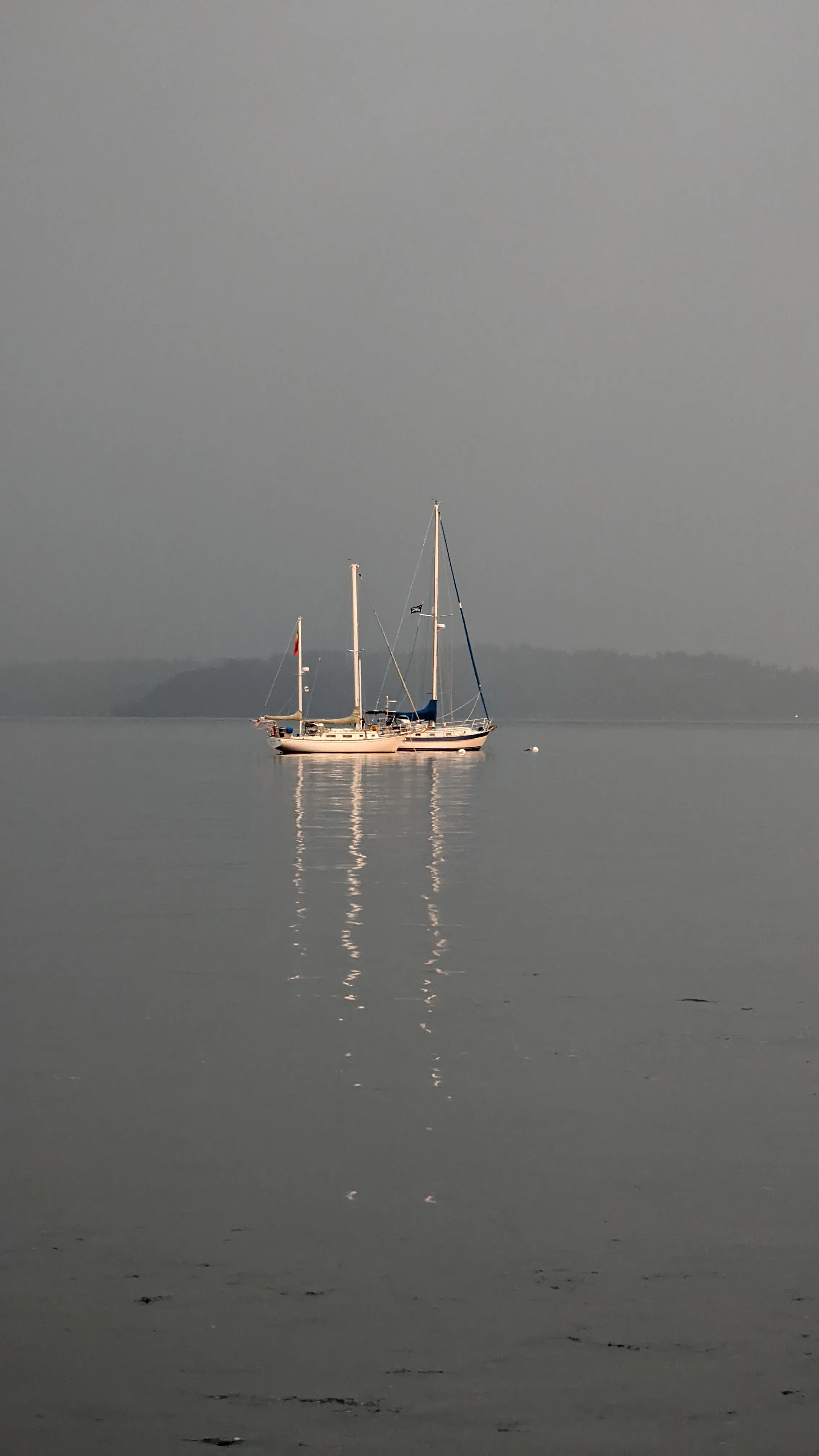 Sailboat. Alki