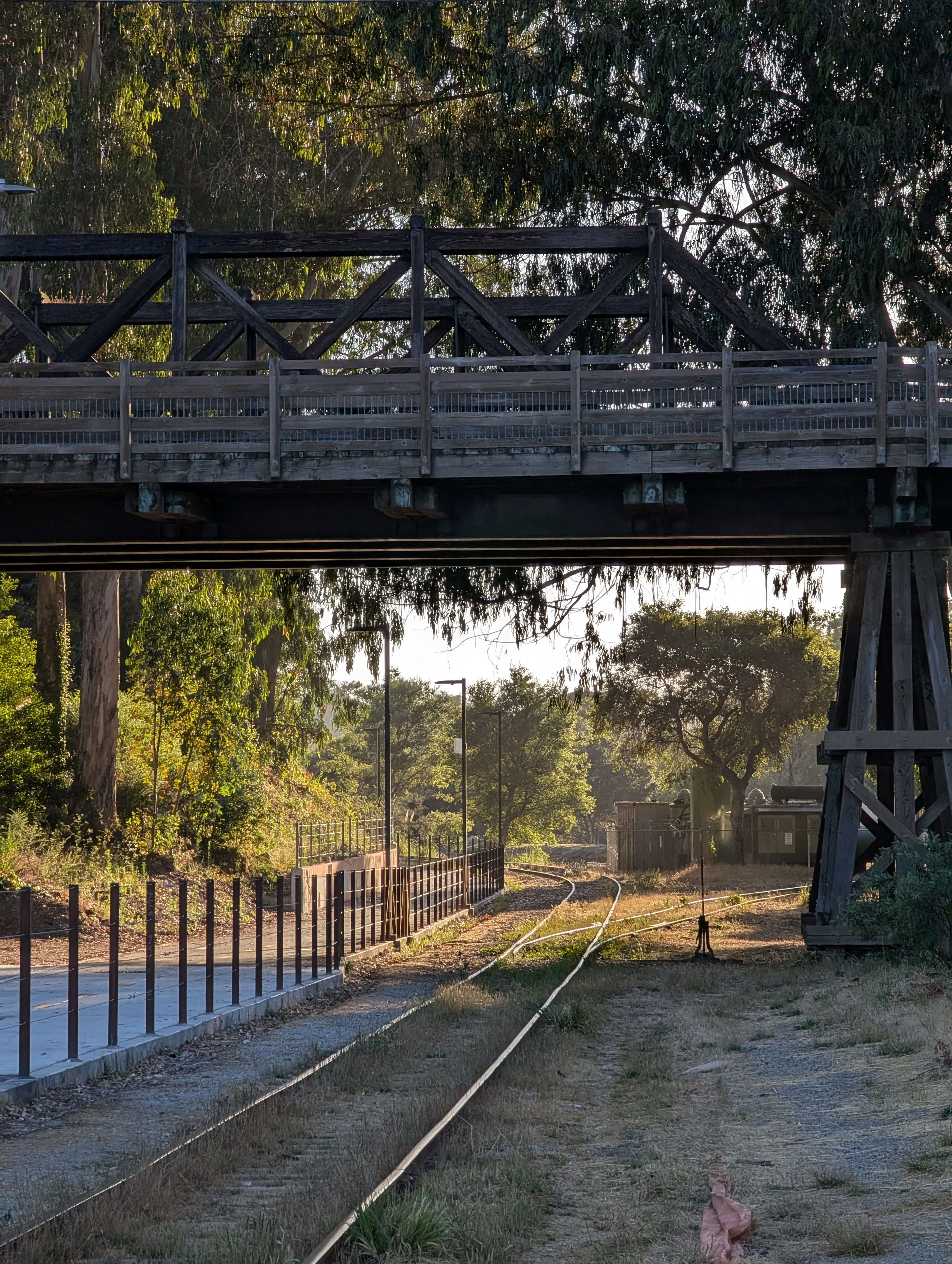 Tracks. Santa Cruz, 2025
