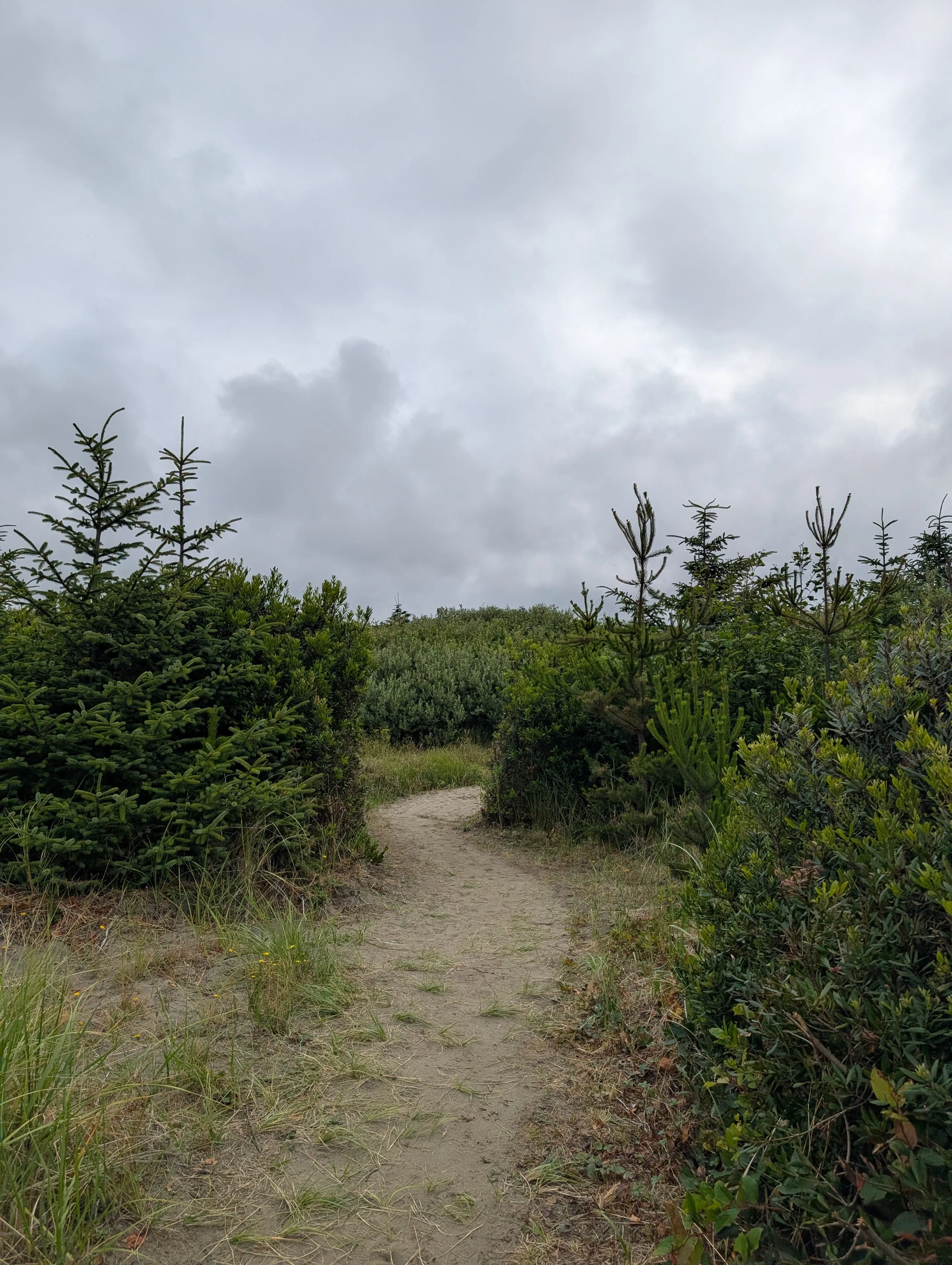 Trail