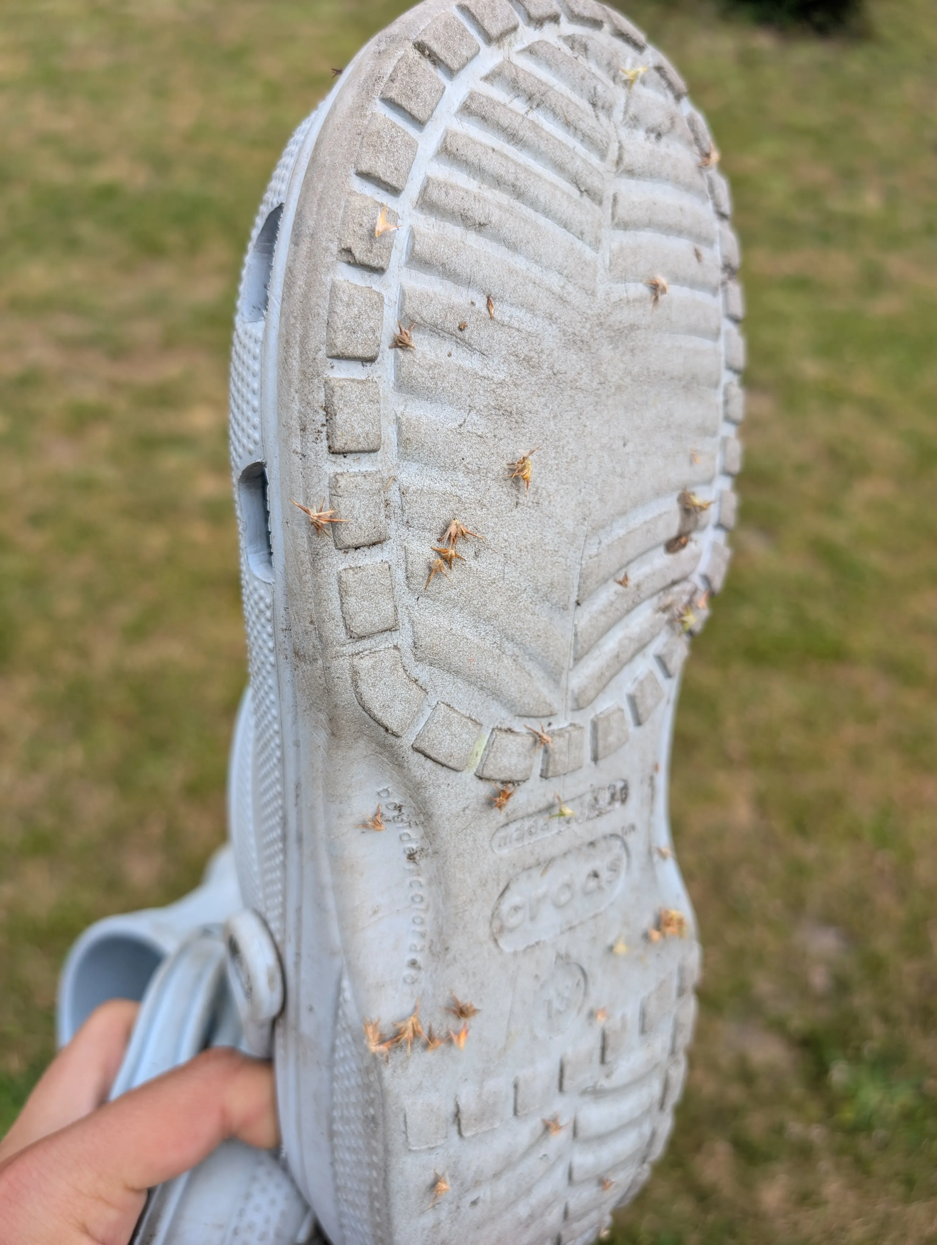 Sandmats :(
